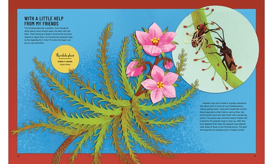 Sample Pages