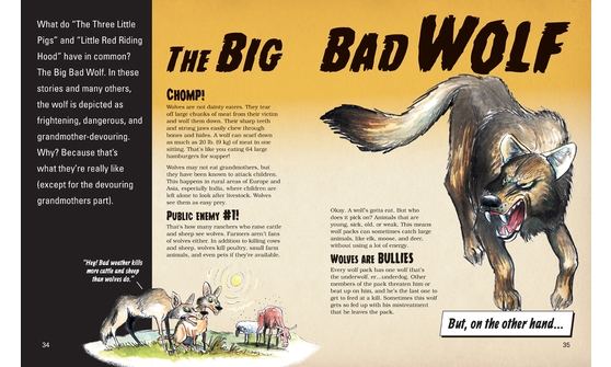 Sample Pages
