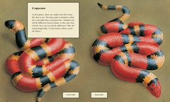 Sample: Animal Defenses